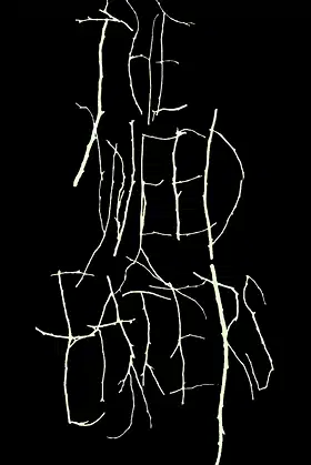 The Weed Eaters poster