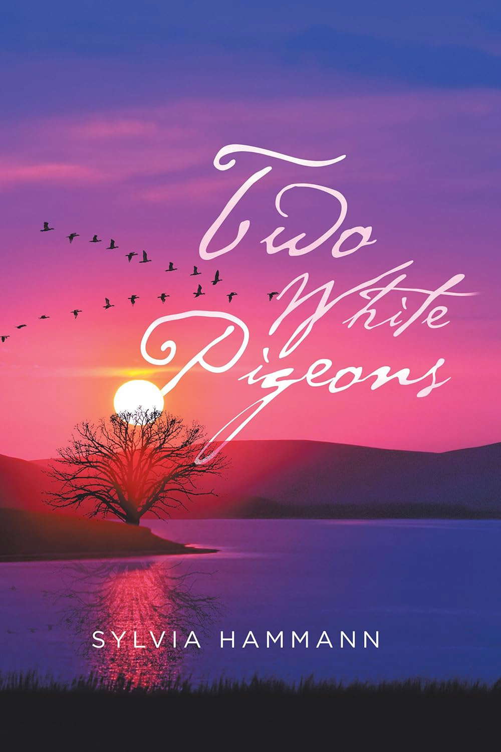 Two White Pigeons poster
