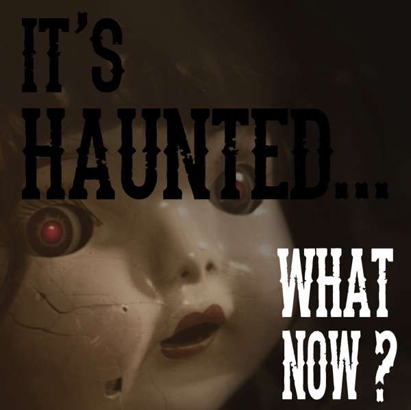 It's Haunted...What Now? poster