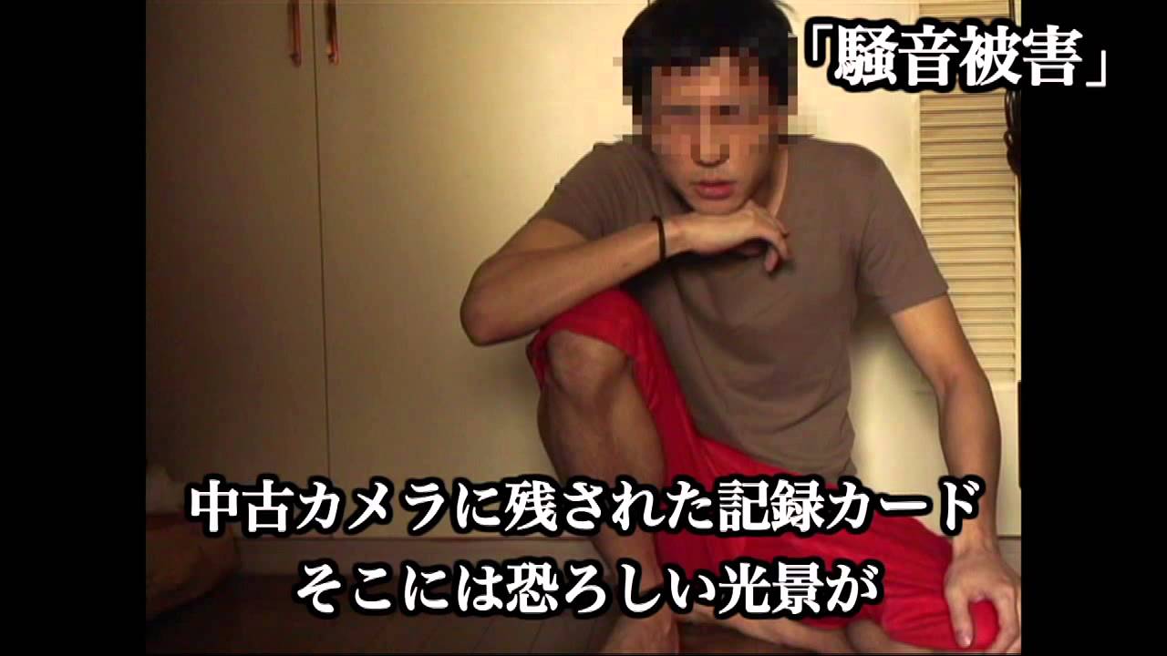 「封印映像１４ 猫塚の呪い」予告