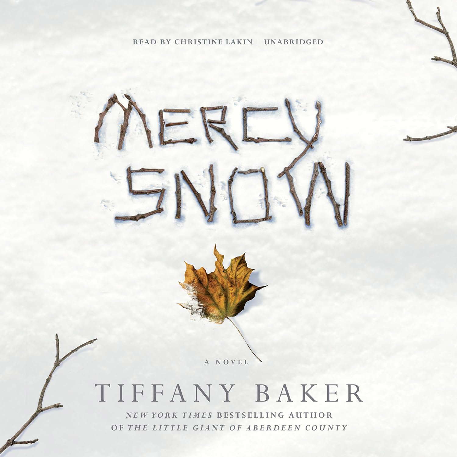 Mercy Snow poster