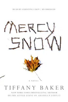 Mercy Snow poster