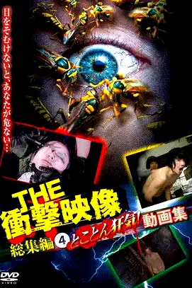 THE Shōgeki Eizō Sōshūhen (4) Tokoton Kyōki! Dōga-shū poster