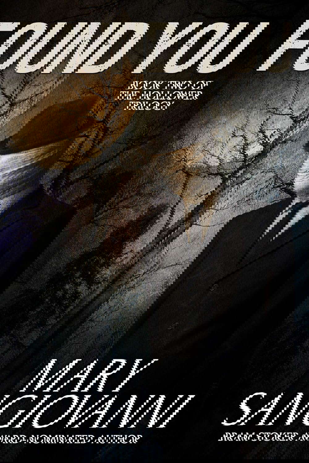 Found You (The Hollower Book 2) poster