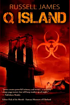 Q Island poster