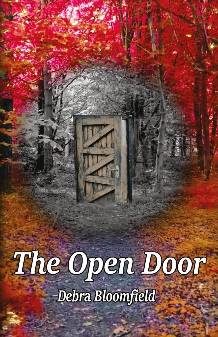 The Open Door poster