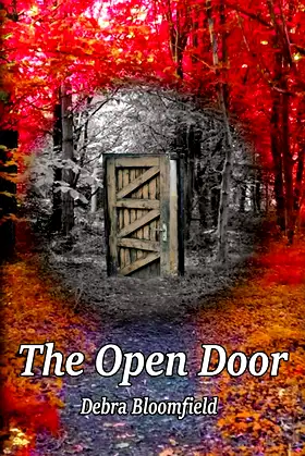 The Open Door poster