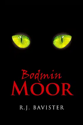 Bodmin Moor poster