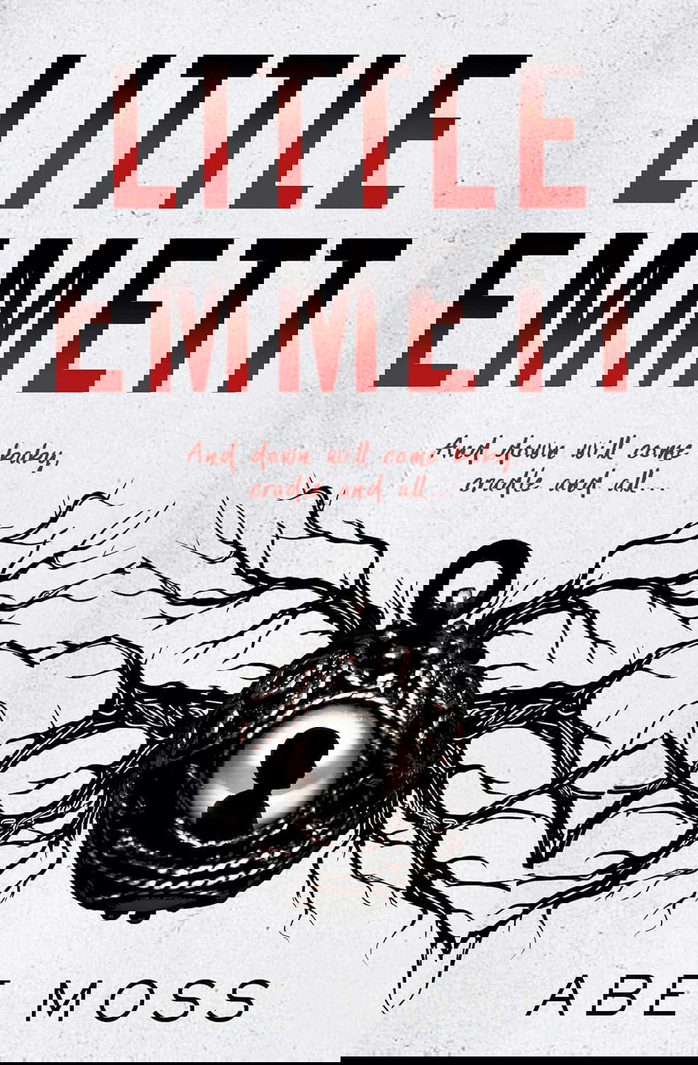 Little Emmett: A Novel poster