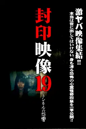 Sealed Video 19: Tunnel Grudge poster