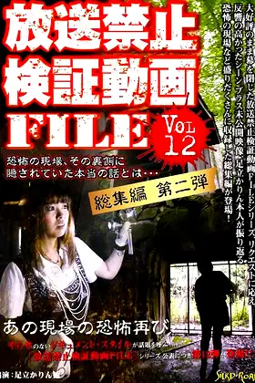 Banned Video File Vol. 12 poster