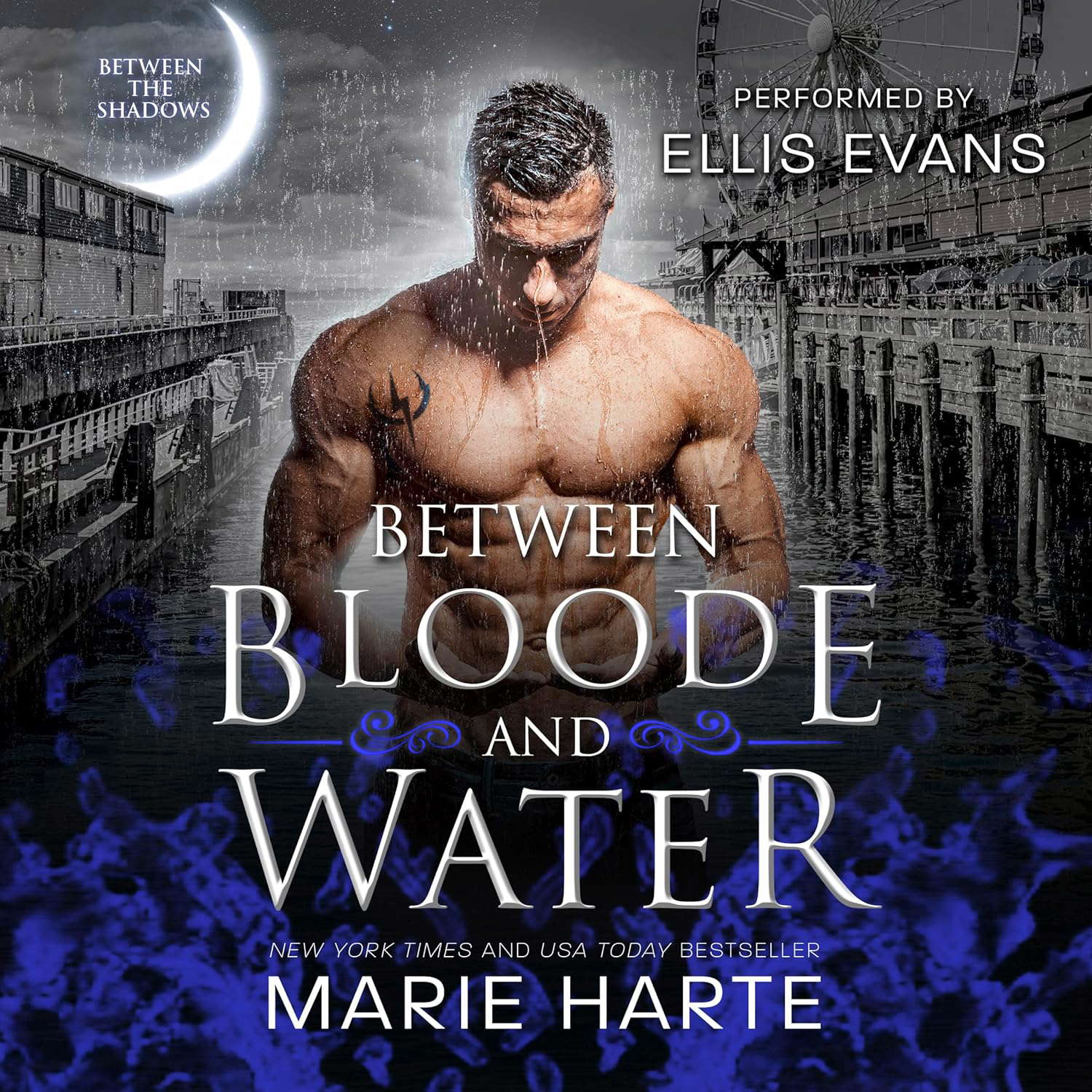 Between Bloode and Water (Between The Shadows, 3) poster