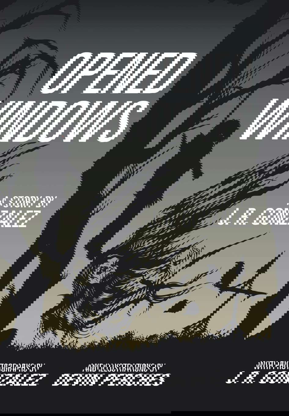 Opened Windows poster