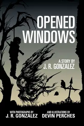 Opened Windows poster
