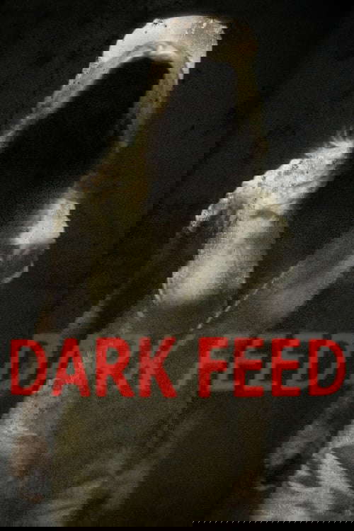 Dark Feed poster