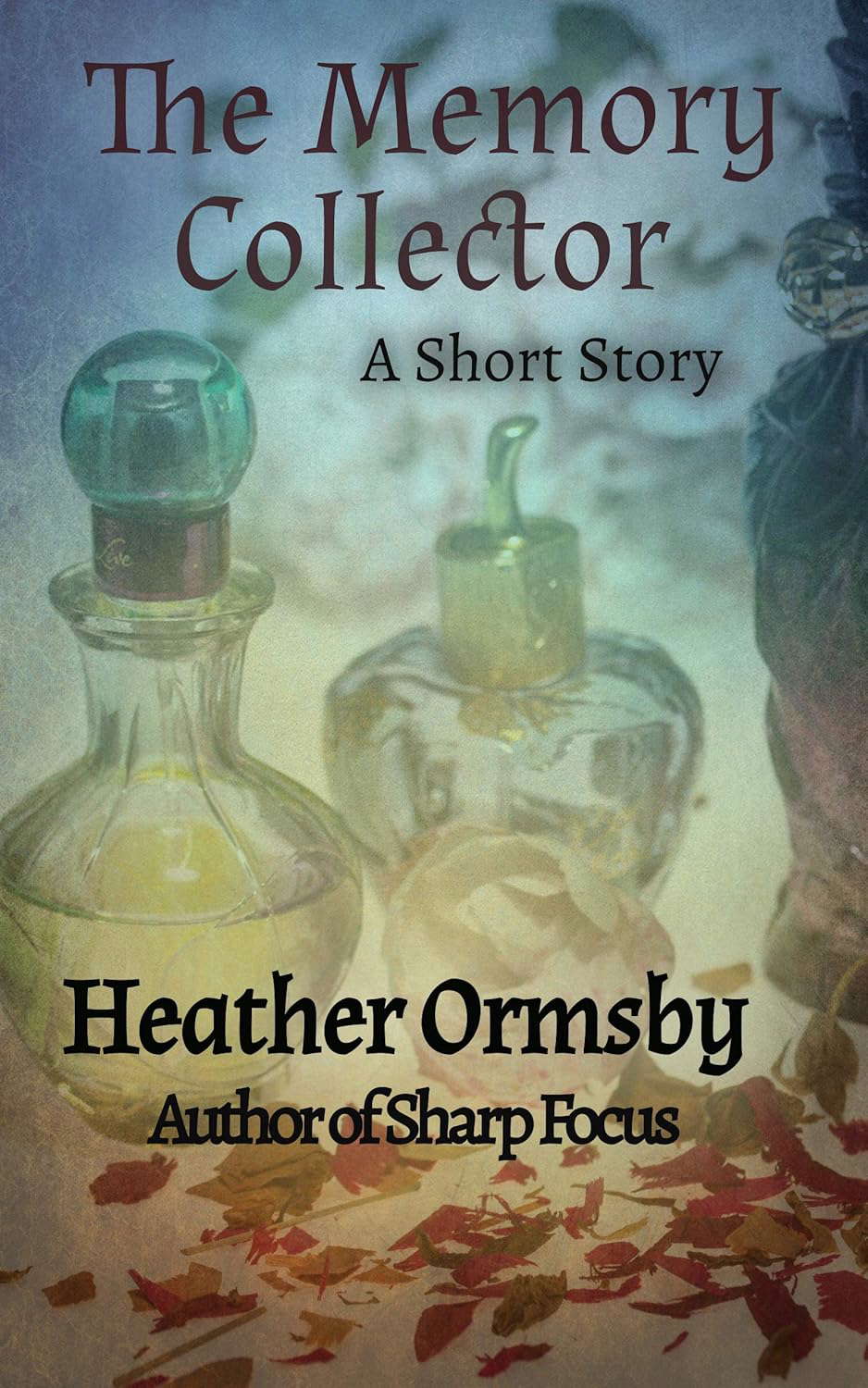 The Memory Collector: A Short Story poster