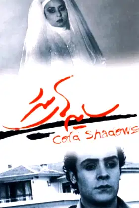 Cold Shadows poster