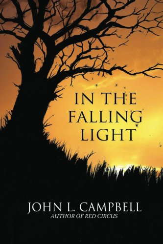 In The Falling Light poster