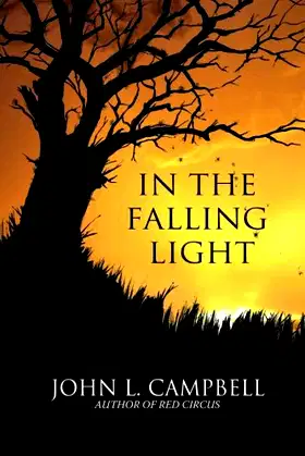 In The Falling Light poster