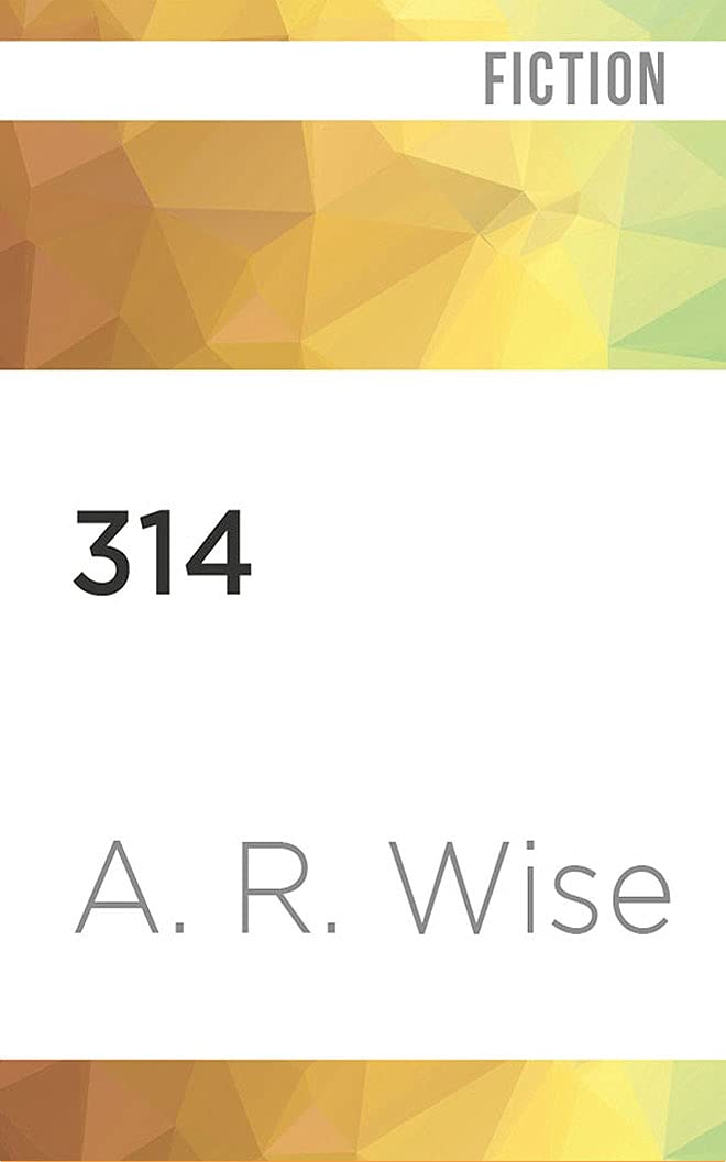 314 (Widowsfield Trilogy, 1) poster