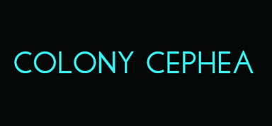 Colony Cephea capsule