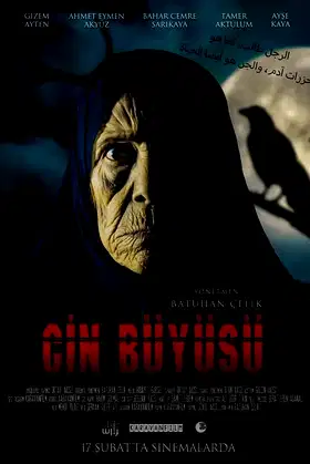 Cin Büyüsü poster
