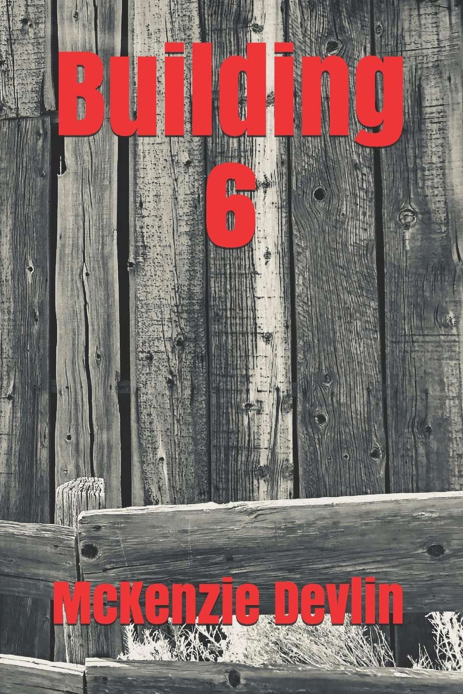 Building 6 poster