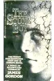 The Stone Boy poster