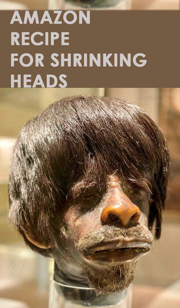 AMAZON RECIPE FOR SHRINKING HEADS poster