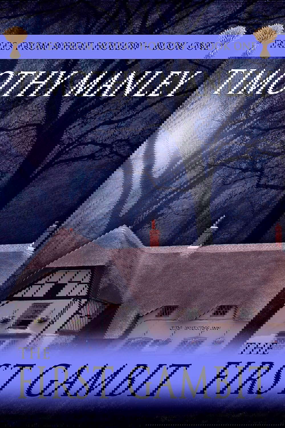 The First Gambit (Tales From Wheat Hollow Book 1) poster