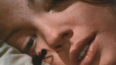 Phase IV (1974) ORIGINAL TRAILER [HQ] poster