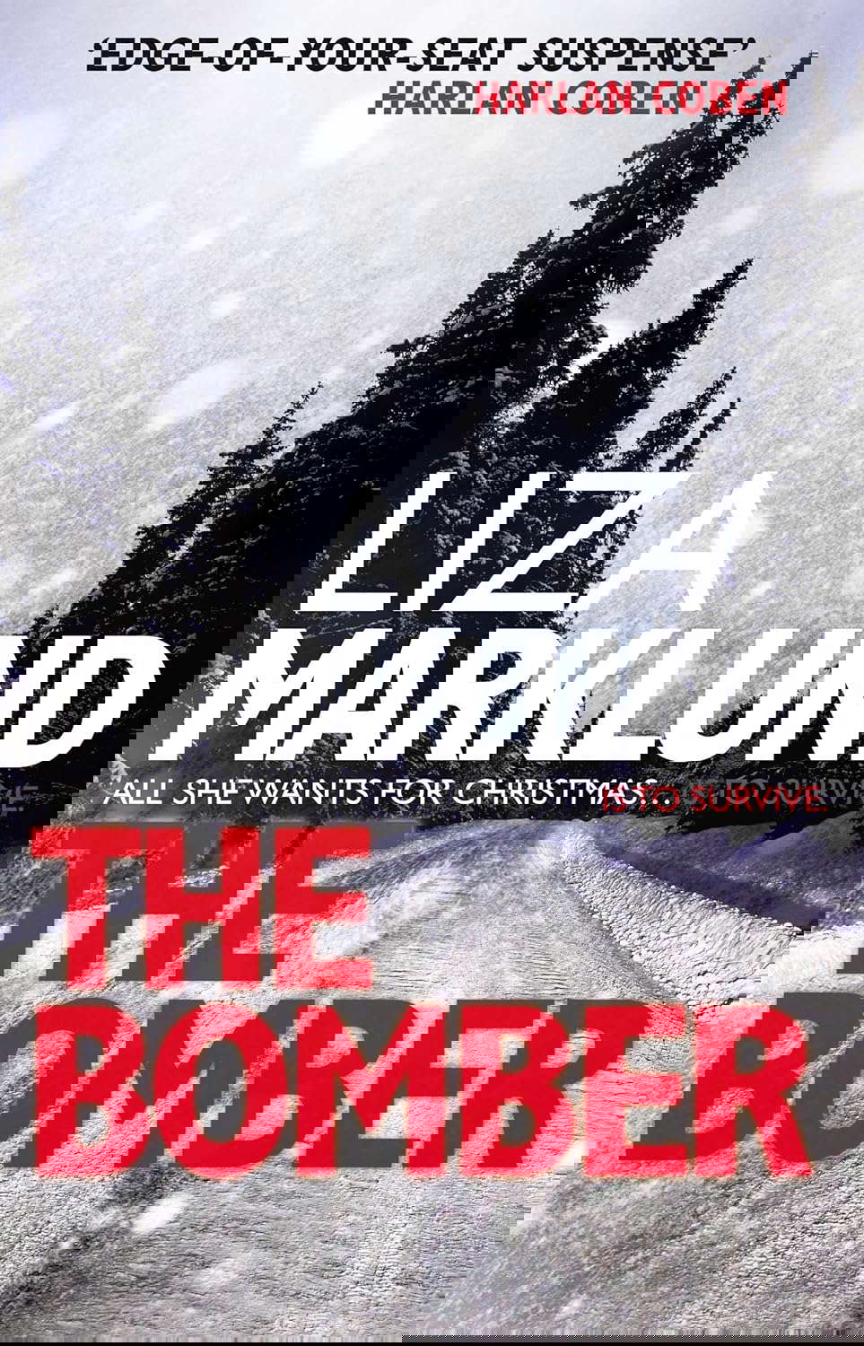 The Bomber poster