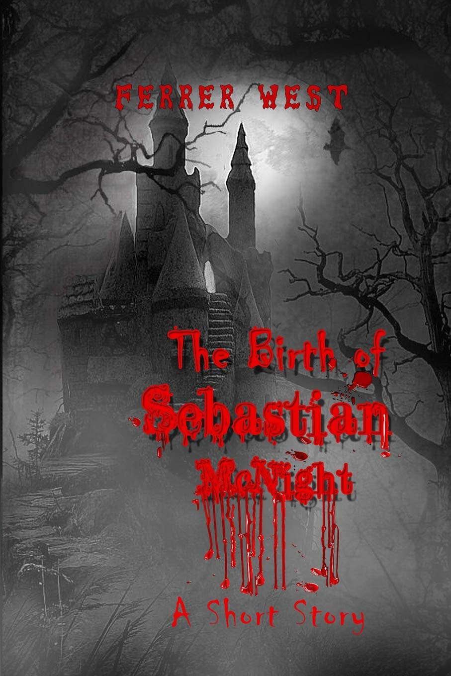 The Birth of Sebastian McNight: A Short Story poster