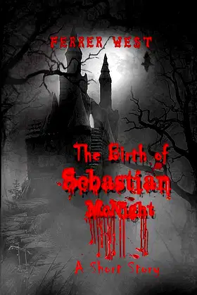 The Birth of Sebastian McNight: A Short Story poster