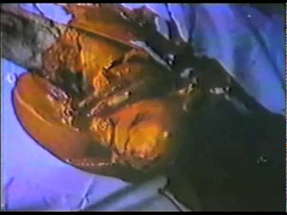 A Night to Dismember trailer poster