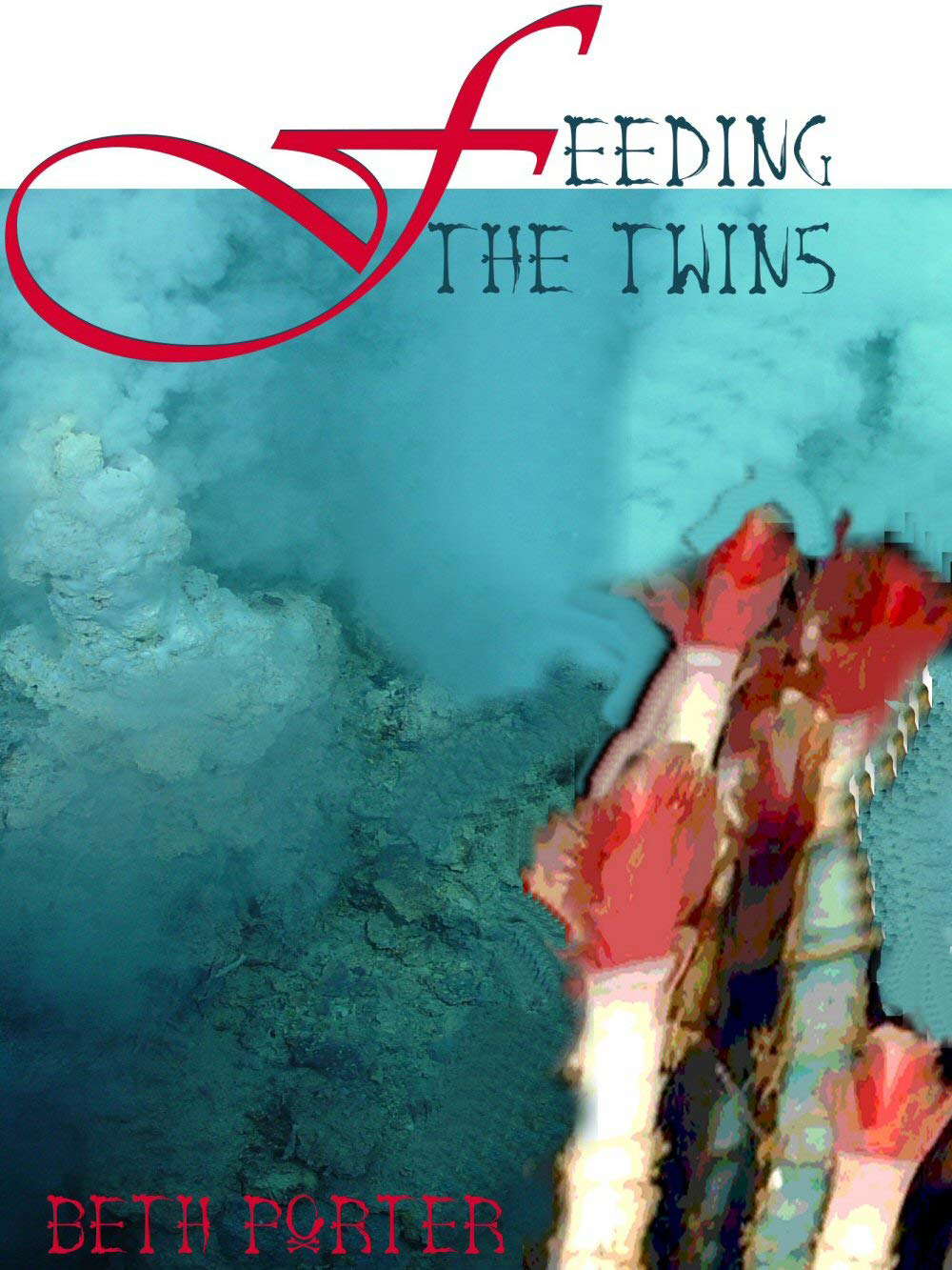 Feeding the Twins poster