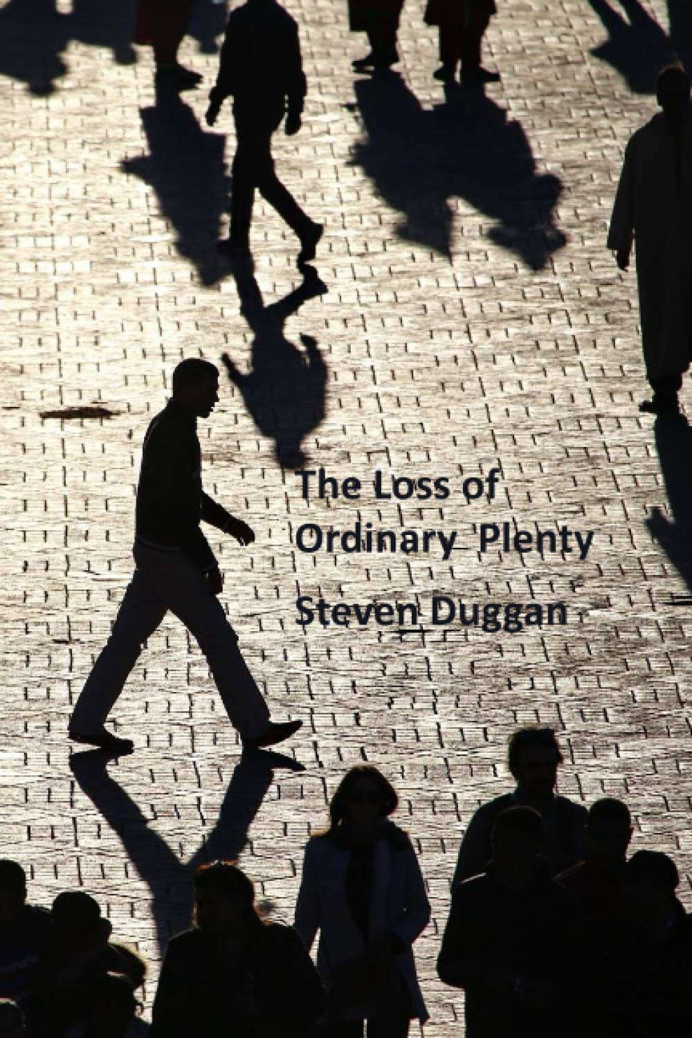 The Loss of Ordinary Plenty poster