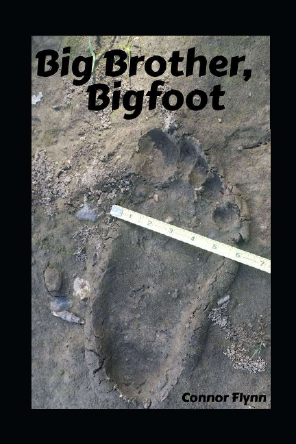 Big Brother, Bigfoot (His Story Rewinds) poster