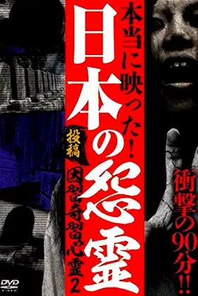 Post Conventions and Eccentrics Spirit 2: The Horrible Curse Hidden in Japan poster