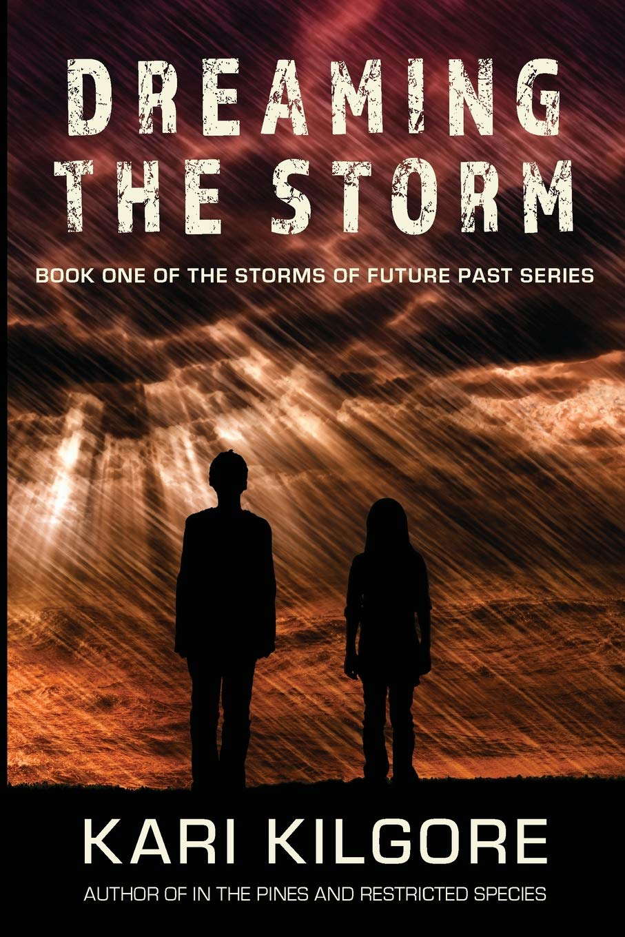 Dreaming the Storm (The Storms of Future Past Series) poster