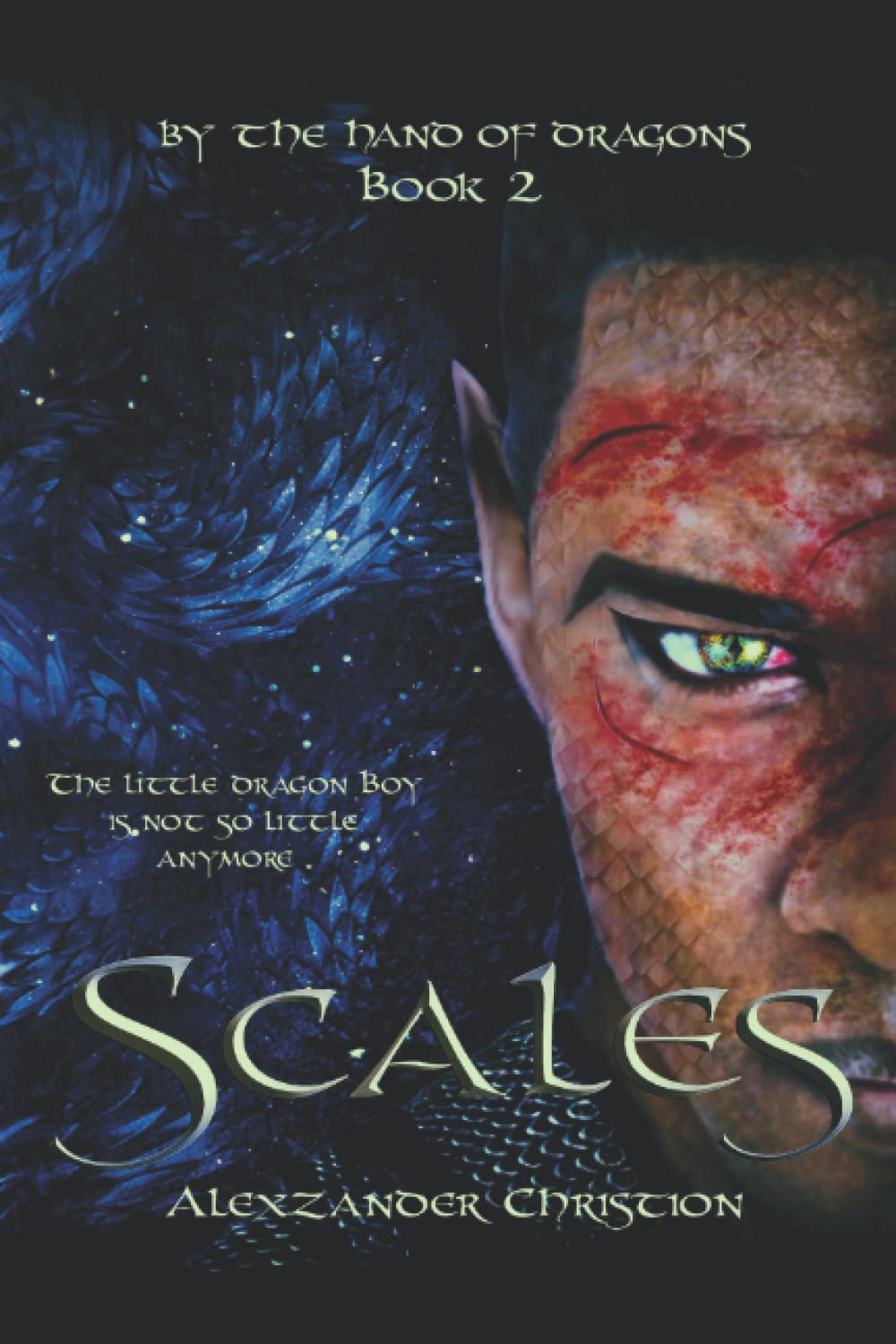 By the Hand of Dragons: Scales poster