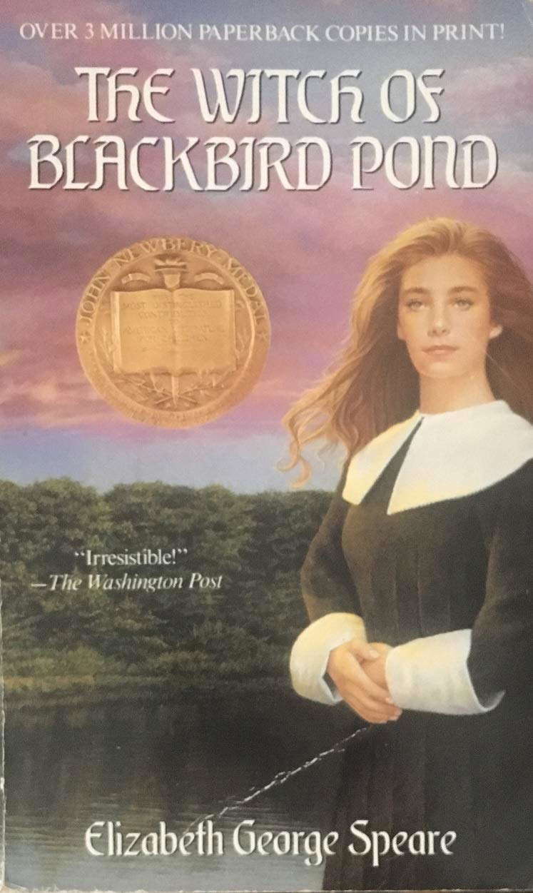 The Witch of Blackbird Pond poster