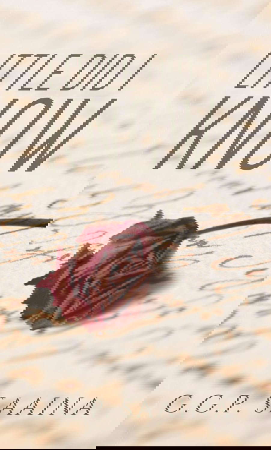 Little did I know poster