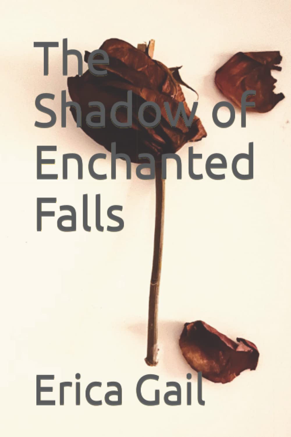 The Shadow of Enchanted Falls poster