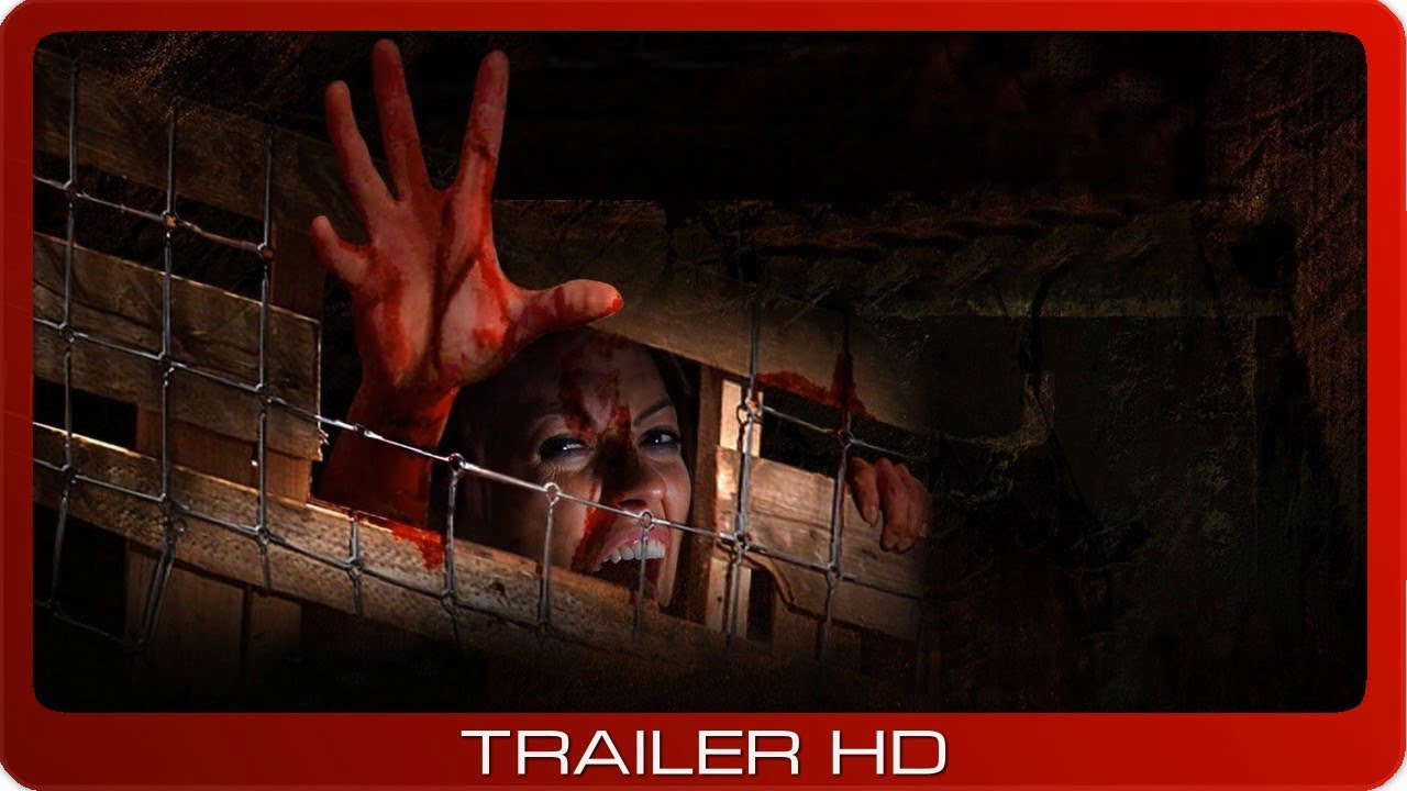 Poster for The Cellar Door
