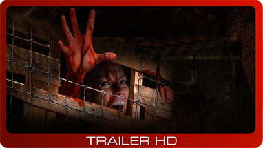 The Cellar Door ≣ 2007 ≣ Trailer poster