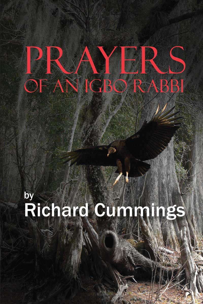 Prayers of an Igbo Rabbi poster