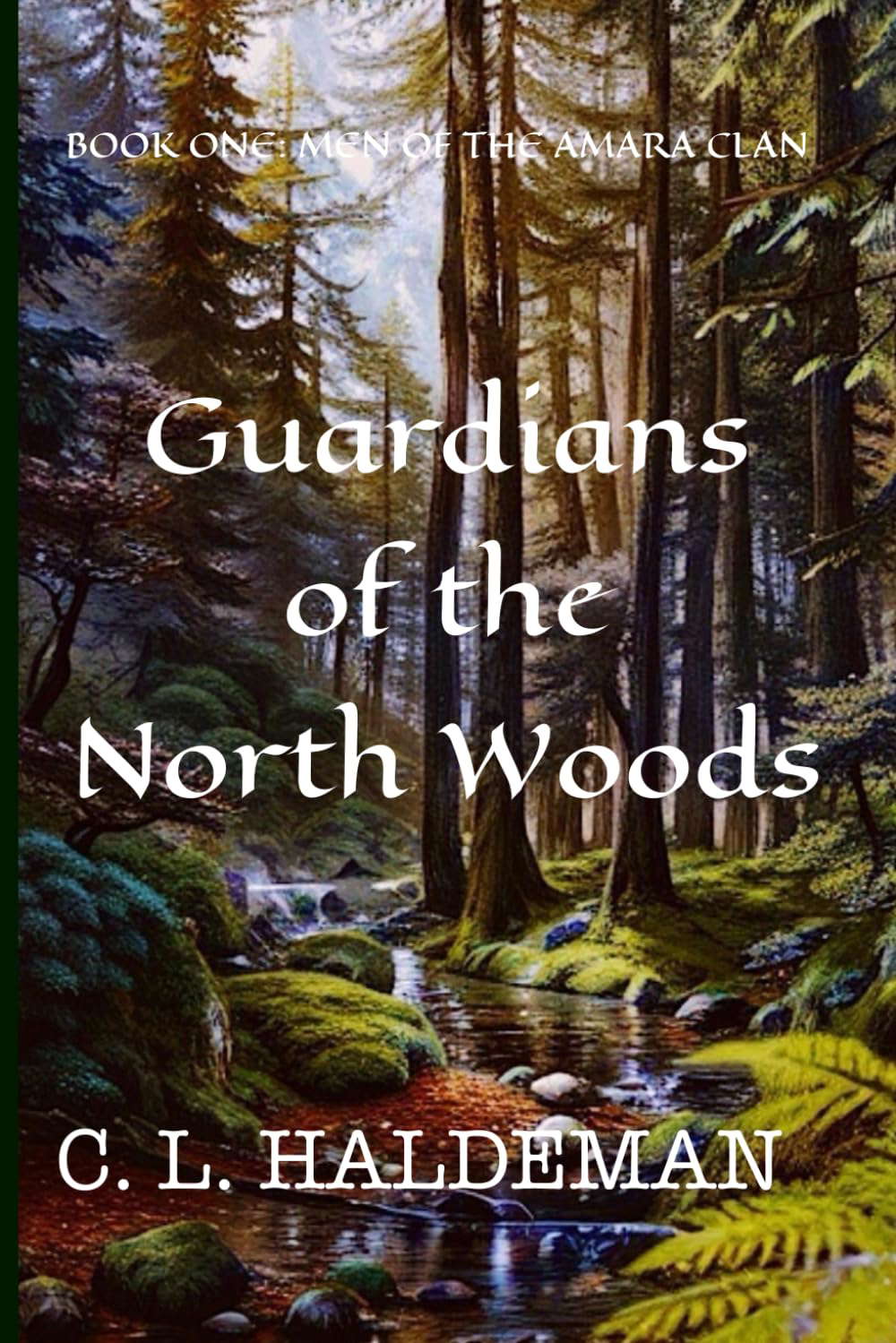 Guardians of the North Woods: Book One: Men of the Amara Clan poster