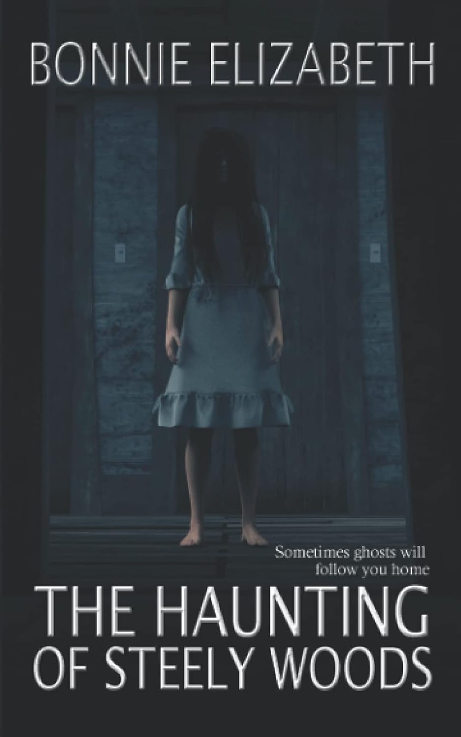 The Haunting of Steely Woods poster
