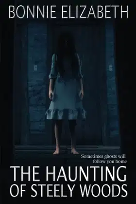 The Haunting of Steely Woods poster